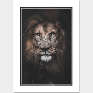 Lion Heart Posters and Art